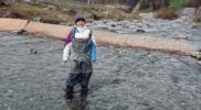 Frisch in der Hasliaare